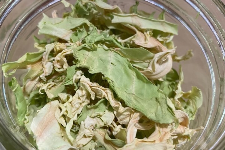 Cabbage