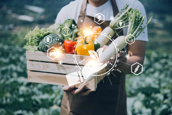 Supply Chain Management